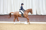 SBM_003449