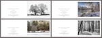 Christmas Landscape  No2