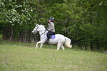 WJ6_1422