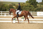 SBM_003348