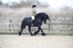 SBM_006289