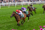 210826-Race 2-Al Nayyir-0157