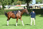 SBM_47152
