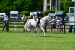 SBM_03801