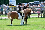 SBM_05816
