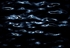 Cells_RLP2363