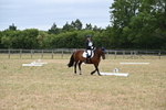 WJ6_9309