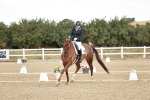 SBM_009434