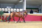 SBM_04100