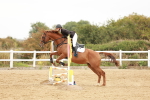 SBM_008485