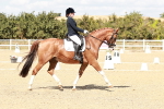 SBM_019240