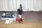 SBM_001481