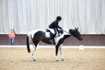 SBM_000241