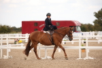 SBM_05295