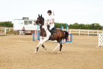 SBM_002495