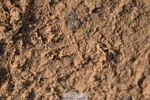231101A-125618-00301
