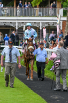 170524-Race 4-Giavellotto-8180