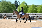 WJ6_9256
