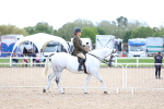 SBM_17053