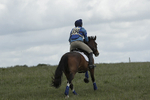 BVHT 140517  NXC -177