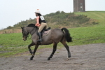 WJ7_5110