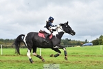 438-KILCORBAN.MY.FAIR.LADY-Natasha.Crapper-SC+XC portfolio