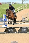 Cls 6 Foxhunter and 1.20m portfolio