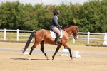SBM_000237