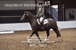 BPP_7997