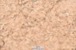 230531A-102056-00082