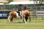SBM_05401