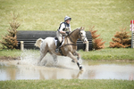 BVHT 140517  IXC -769