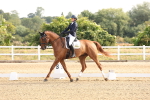 SBM_005079