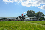 080726-Race 5-Sugarpiehoneybunch-3944