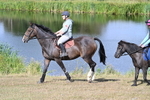 WJ7_3315