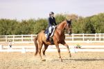 SBM_015509