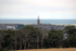 Montrose From Maryton