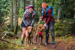 Glentress-2412