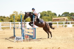 SBM_002969