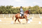 SBM_018164