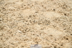 251004A-090716-00067
