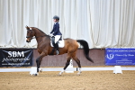 Class 4 - Novice 4 portfolio