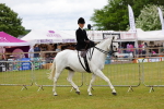 SBM_02714