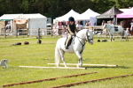 SBM_12745