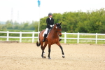 SBM_006537