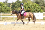 SBM_003961