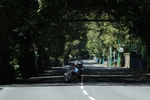 Okells 350cc Classic TT portfolio