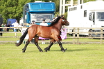 SBM_00685