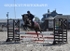 BPP_7959