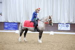 SBM_001908